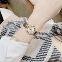 Michael Kors ZEGAREK DAMSKI MICHAEL KORS MK3295 - DARCI (zm589a) + BOX