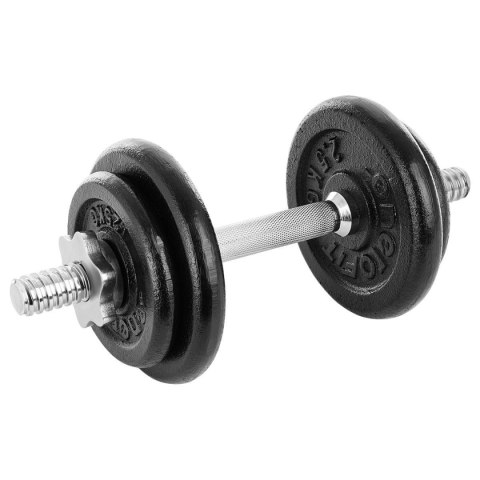 HANTLA ŻELIWNA 10 KG WALIZKA ENERO FIT EB FIT HANTLA ŻELIWNA 10 KG WALIZKA ENERO FIT EB FIT