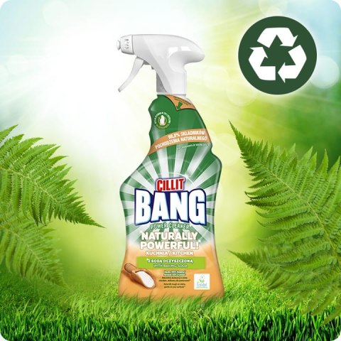 CILLIT BANG Naturally Powerful Kuchnia 750ml Spray CILLIT BANG CILLIT BANG Naturally Powerful Kuchnia 750ml Spray CILLIT BANG