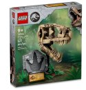 76964 - LEGO Jurassic World - Szkielety dinozaurów — czaszka tyranozaura LEGO