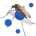 BROS - spray na komary i kleszcze 50% DEET 90ml - 2 szt. BROS