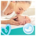PAMPERS Chusteczki Nawilżane Fresh Clean 52 szt. - 12 op. Pampers