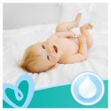 PAMPERS Chusteczki Nawilżane Fresh Clean 52 szt. - 12 op. Pampers