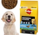 PEDIGREE Junior Professional Nutrition 12 kg z drobiem i warzywami - sucha karma dla szczeniąt psów dużych i średnich ras PEDIGREE