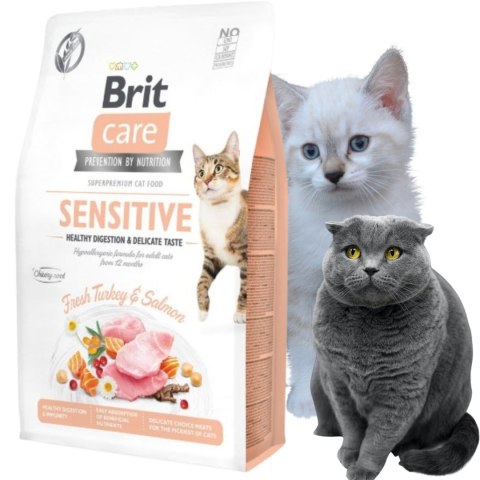 SUCHA KARMA DLA KOTA BRIT CARE CAT SENSITIVE 2KG Indyk z Łososiem bez zbóż SUCHA KARMA DLA KOTA BRIT CARE CAT SENSITIVE 2KG Indyk z Łososiem bez zbóż
