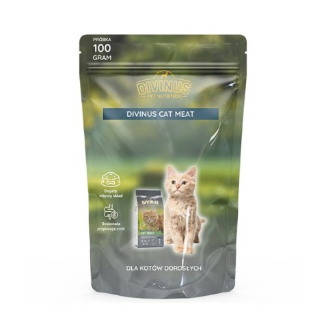 PRÓBKA Divinus Cat Meat 100g Divinus PRÓBKA Divinus Cat Meat 100g Divinus