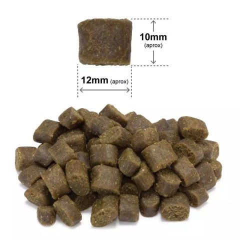 ARQUIVET FRESH Półwilgotna karma dla psa łosoś z indykiem 10 kg Arquivet Fresh ARQUIVET FRESH Półwilgotna karma dla psa łosoś z indykiem 10 kg Arquivet Fresh