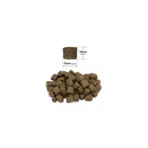 ARQUIVET FRESH Półwilgotna karma dla psa wieprzowina iberyjska i ryba oceaniczna 10 kg Arquivet Fresh ARQUIVET FRESH Półwilgotna karma dla psa wieprzowina iberyjska i ryba oceaniczna 10 kg Arquivet Fresh