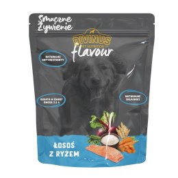 Próbka Divinus FLAVOUR łosoś z ryżem 100 g Divinus