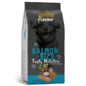 Próbka Divinus FLAVOUR łosoś z ryżem 100 g Divinus