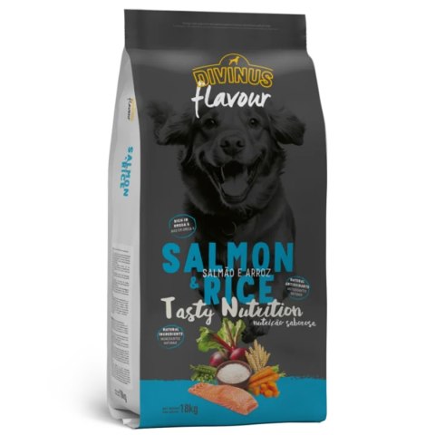 Próbka Divinus FLAVOUR łosoś z ryżem 100 g Divinus Próbka Divinus FLAVOUR łosoś z ryżem 100 g Divinus