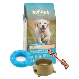 Wyprawka DIVINUS - STANDARD Divinus