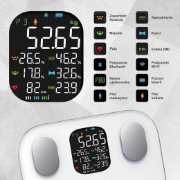 ANALITYCZNA WAGA ŁAZIENKOWA SMART IOS ANDROID KLAUSBERG KB-7855 KLAUSBERG