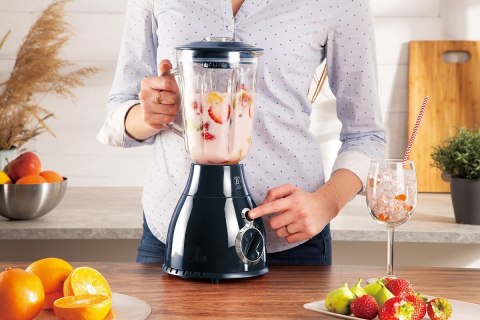 BLENDER KIELICHOWY MIKSER BERLINGER HAUS BH-9283 BERLINGER HAUS BLENDER KIELICHOWY MIKSER BERLINGER HAUS BH-9283 BERLINGER HAUS