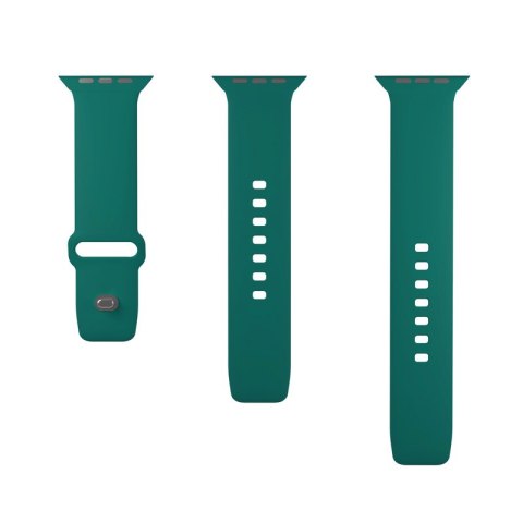 PURO ICON - Elastyczny pasek do Apple Watch 42/44/45/49 mm (S/M & M/L) (Jade) Puro PURO ICON - Elastyczny pasek do Apple Watch 42/44/45/49 mm (S/M & M/L) (Jade) Puro