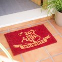 Harry Potter - Wycieraczka Hogwarts (40 x 60 cm) Harry Potter