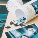Harry Potter - Puzzle 500 elementów w ozdobnym pudełku (Harry Potter i Więzień Azkabanu) Harry Potter