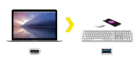 Kanex przejściówka z USB-C na USB żeński (21 cm) Kanex Kanex przejściówka z USB-C na USB żeński (21 cm) Kanex