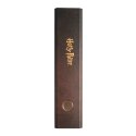 Harry Potter - Segregator A4 (2 ringi) Harry Potter