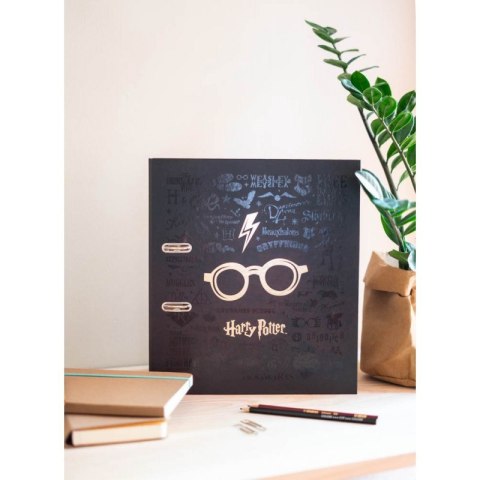 Harry Potter - Segregator A4 (2 ringi) Harry Potter Harry Potter - Segregator A4 (2 ringi) Harry Potter
