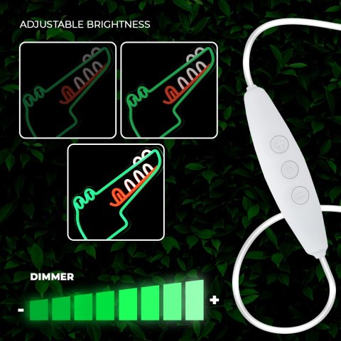 Neon PLEXI LED JURASSIC KROKODYL zielony FLNJ03 Forever Light Neon PLEXI LED JURASSIC KROKODYL zielony FLNJ03 Forever Light