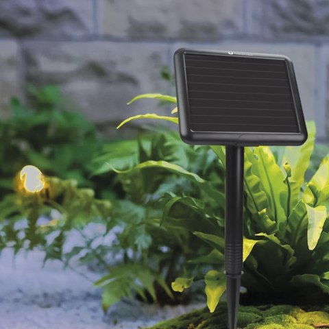 Forever Light Girlanda solarna LED SUNARI FLS-60 7,5m 10 żarówek IP44 Forever Light Girlanda solarna LED SUNARI FLS-60 7,5m 10 żarówek IP44