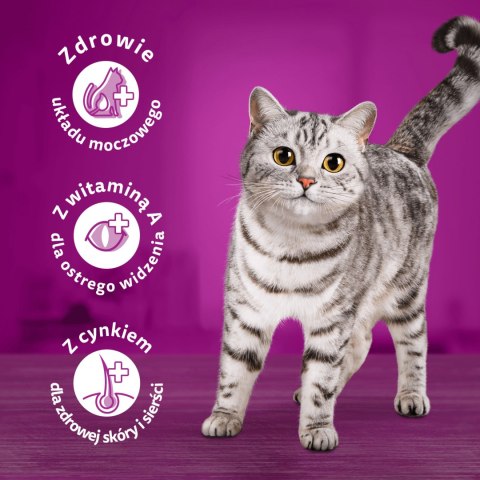 Karma sucha dla kotów WHISKAS ADULT o smaku kurczaka 1,4kg PEŁNOPORCJOWA Karma sucha dla kotów WHISKAS ADULT o smaku kurczaka 1,4kg PEŁNOPORCJOWA