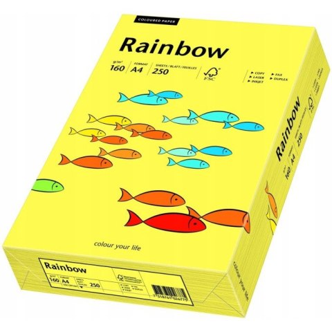 Papier ksero A4 160g RAINBOW R16 żółty 250ark 88042351 RAINBOW Papier ksero A4 160g RAINBOW R16 żółty 250ark 88042351 RAINBOW