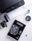 Papier ksero A4 80g EMERSON TIGER (5ryz) klasa białości C EMERSON