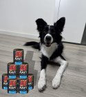 Karma Mokra Dla Psów RAFI z Jagnięciną, Borówką i Żurawiną 400g - 48 szt. RAFI