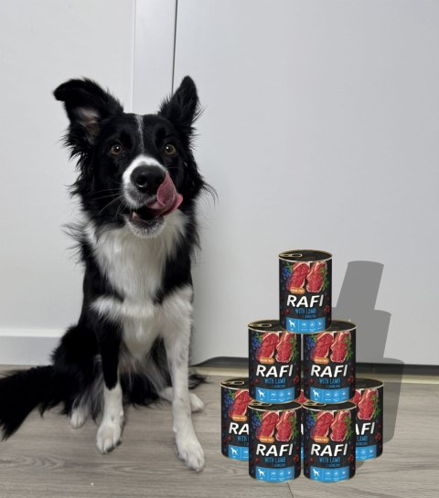 Karma Mokra Dla Psów RAFI z Jagnięciną, Borówką i Żurawiną 400g - 48 szt. RAFI Karma Mokra Dla Psów RAFI z Jagnięciną, Borówką i Żurawiną 400g - 48 szt. RAFI