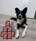 Karma Mokra Dla Psów RAFI z Wołowiną, Borówką i Żurawiną 400g - 12 szt. RAFI