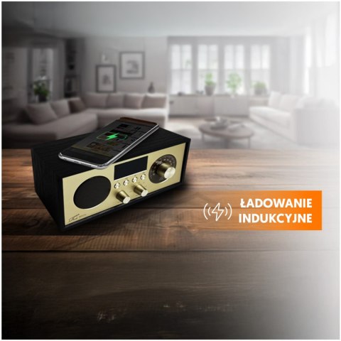 LTC przenośne radio BRDA, Bluetooth, FM, USB, 2200mAh, 10W ładowanie indukcyjne, czarno-złote Lamex Andrzej Leszek Sp.K. LTC przenośne radio BRDA, Bluetooth, FM, USB, 2200mAh, 10W ładowanie indukcyjne, czarno-złote Lamex Andrzej Leszek Sp.K.