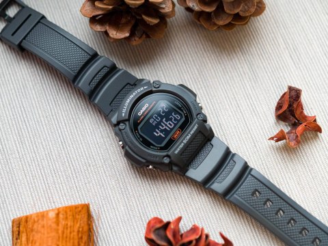 Zegarek Casio W-219H-8BVEF Zegarek Casio W-219H-8BVEF