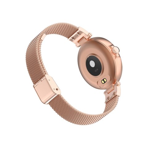 Forever Smartwatch ForeVive Petite SB-305 różowe złoto TelForceOne S.A. Forever Smartwatch ForeVive Petite SB-305 różowe złoto TelForceOne S.A.